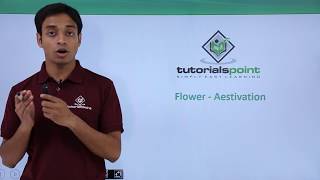 Class 11th – Flower – Aestivation  Morphology of Flowering Plants  Tutorials Point [upl. by Yand]