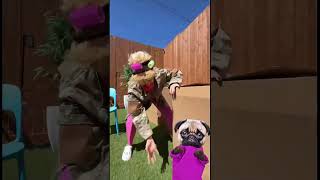 OH MY DOG THAT WAS REALLY SCARY 🤭 funnyanimals funny [upl. by Nealey]