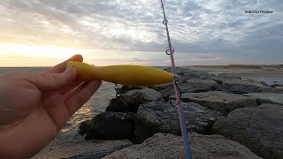 Braving Strong Winds in the Hunt for Striped Bass Non Stop Early Fall Run Action [upl. by Nahtaj]