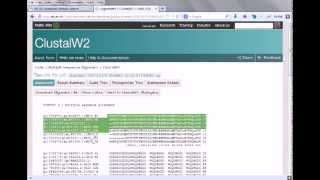 Bioinformatics practical 4 multiple sequence alignment using ClustalW [upl. by Pearlman]