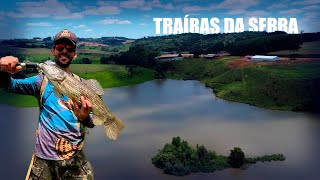 CAMPEONATO NA SERRA CATARINENSE  Pesca Esportiva de Traíras  Evento RafaFish [upl. by Lee]