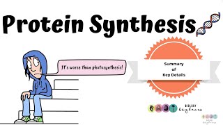 Biology Bugbears Protein SynthesisLeaving Cert Biology 2025New Video Summary [upl. by Llennahc]