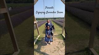 Enjoying Lavender farm in Canada for first time romanticizeyourlife lifeincanada canada [upl. by Quince206]