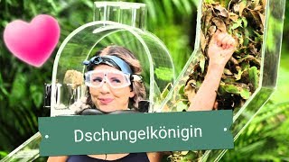 Jenny Frankhauser gewinnt das Dschungelcamp Video [upl. by Inele]