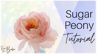 Sugar Peony Tutorial ⎸Realistic Gumpaste Peony for Cake Decorating [upl. by Primalia]