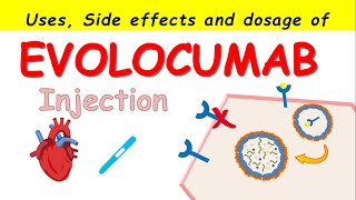 Evolocumab Repatha injection Uses Side effects and How to take [upl. by Nyvar161]