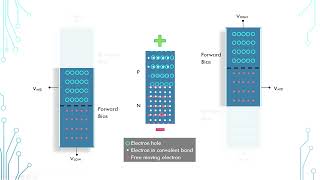 How Bipolar Junction Transistor BJT Works [upl. by Penland]