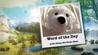 Word of the Day ft Poley [upl. by Alton]