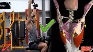 How to Do a Lat Pulldown  Common Mistake [upl. by Timus]