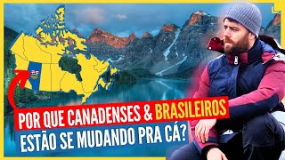 Alberta CANADÁ Por Que Todos Estão Se Mudando Pra Cá [upl. by Kalb]