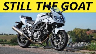 The BEST Beginner Motorcycles in 2024 [upl. by Afaw545]