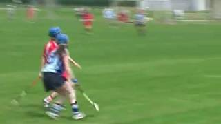 Camogie 2008 Gala All Ireland Senior Camogie Championship Compilation Part 1of 3 [upl. by Hackathorn]