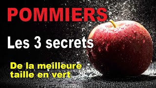 Les secrets de la meilleure taille en vert pour couvrir vos pommiers de fruits [upl. by Arihaz]