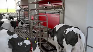 Lely Astronaut A5  The art of milking  version courte  FR [upl. by Aniham]