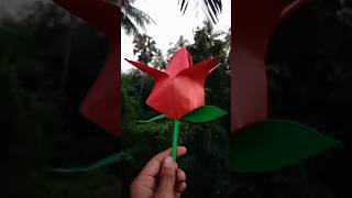 Diy beautiful paper flower paperflower short viral craft Createoncreativity [upl. by Nigel]