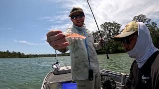 Fishing The Noosa River for the Frist time NEW PB [upl. by Tenner]