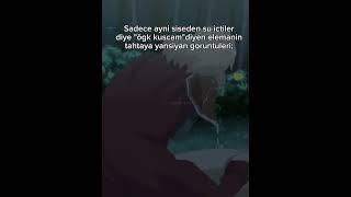 Bide bayil istersen feriharedoofhealeranimekesfetonecikarkeşfetbeniöneçikarkesfetteyizkesfet [upl. by Edylc]