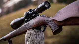 TOP 10 Best 22LR Rifles The Most Accurate 22 Rifles 2023 [upl. by Zildjian]