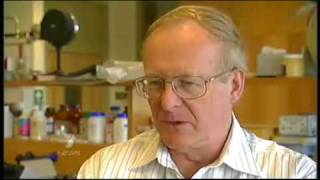 7 News Adelaide  Bluetongue lizards and Prof Mike Bull [upl. by Marti]