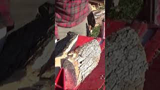 FASTEST LOG SPLITTER SPLITFIRE 2265 firewoodsplitter firewood logsplitter [upl. by Glorianna]