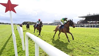 MYSTICAL POWER storms home in the 2024 KPMG Champion Novice Hurdle at the Punchestown Festival [upl. by Aicad]