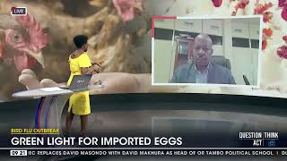 Discussion  Avian Flu Outbreak  Green light for imported eggs [upl. by Leiuqese]