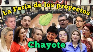 La Feria de los proyectos Chayote [upl. by Nivram]