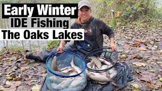 Early Winter IDE fishing  The Oaks Lakes I Alders Lake [upl. by Inger]