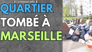 CE QUARTIER TOMBE COMPLÈTEMENT SOUS LES DEALEURS A MARSEILLE  VILLE CALME ET PAISIBLE  ÉPISODE 3 [upl. by Ordnajela]