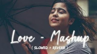 love  mashup slowed reverb  New song 2024 lofi  🎧slowedreverb slowandreverb lofiremix [upl. by Henrion]