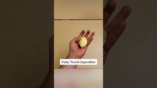 De Quervains Tenosynovitis  Rehab Exercises that work thumbpain wristpain dequervains [upl. by Liggitt868]