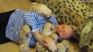 The cutest video Pug pups ATTACK man with love [upl. by Angele]