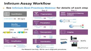 Illumina Infinium Methylation Analysis and Reporting Review [upl. by Bonny]