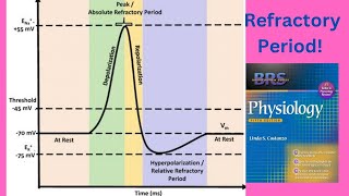 BRS Physiology  Refractory periods of Action Potential  FCPS Part1 [upl. by Yenial]