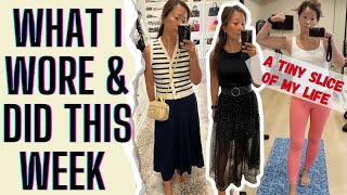 REAL LIFE OUTFITS amp LIFE  WHAT I WORE IN A WEEK [upl. by Federica528]