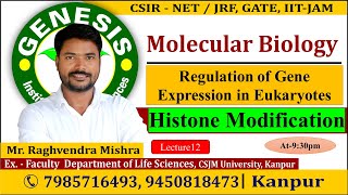 Histone Modification  Molecular Biology  Lecture12  CSIR NETJRF  Life science [upl. by Bore]