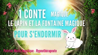 Histoire pour sendormir  Le Lapin et la Fontaine Magique  HISTOIRE POUR DORMIR [upl. by Acinomaj13]