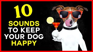 10 Sounds to Keep Your Dog Happy [upl. by Malcolm]