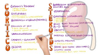 Corticosteroid Side Effects Mnemonic  What are the side effects of corticosteroids [upl. by Belshin]