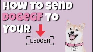 How to Send DogeGF Tokens to Your Ledger Device  Sending ERC20 Tokens to your Ledger [upl. by Auqined]