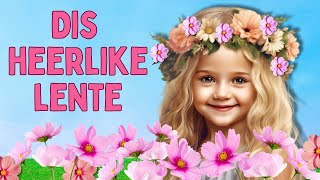 Dis Heerlike Lente met woorde  Afrikaans Kinderliedjies  Kleuterskool liedjies [upl. by Ahsinotna]