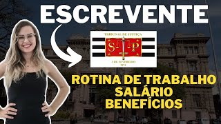 Como é ser Escrevente Técnico Judiciário no TJSP Benefícios jornada de trabalho e muito mais [upl. by Desdemona963]