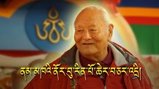 Origin of Tibetan Script and Shangchung ཆོས་རྒྱལ་ནམ་མཁའི་ནོར་བུ་རིན་པོ་ཆེ་ལ་དམིགས་བསལ་བཅར་འདྲི། [upl. by Bhatt]