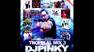 Dj Pinky Mix Tropikal 3 AudioMix SbDjChipyMix [upl. by Glogau]