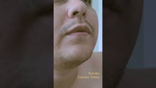 Sozinho  Caetano Veloso cover [upl. by Guod]