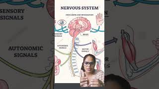 Different types of receptors [upl. by Asenav]