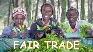 What is Fair Trade [upl. by Shifrah]