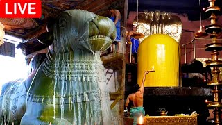 🔴LIVE  நேரலை  2021  Pradosham Thanjavur temple 02122021 [upl. by Lenoyl]