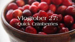 Vlogtober 27 Quick Cranberries [upl. by Malissia]