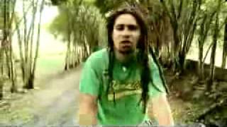 ESTADO INDEPENDIENTE SATIVA REGGAE [upl. by Eellah575]